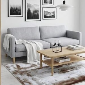Abstract Area Rug Modern Style | Premium Indian Made Superior Comfort & Construction | Stain Shedding Resistant 5 Feet X 7 Feet